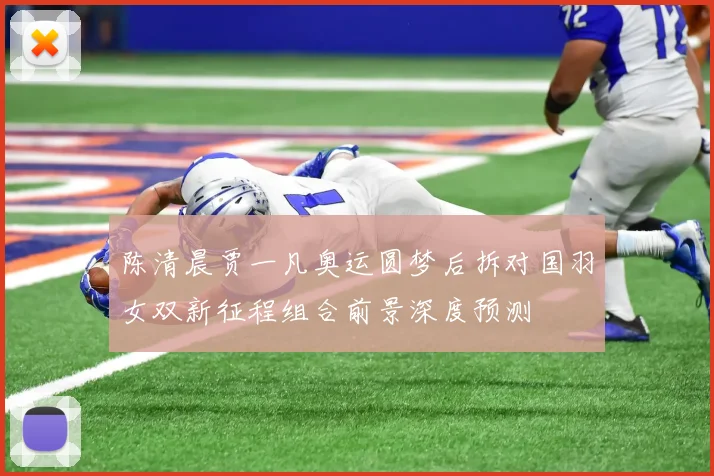 陈清晨贾一凡奥运圆梦后拆对国羽女双新征程组合前景深度预测
