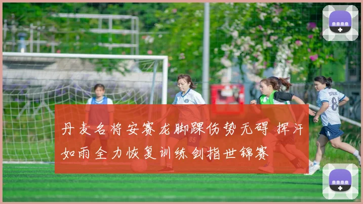 丹麦名将安赛龙脚踝伤势无碍 挥汗如雨全力恢复训练剑指世锦赛